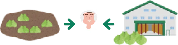 数量確保タイプのイメージ：畑から中間事業者を経て施設へ矢印が向くイラスト（グリーン）